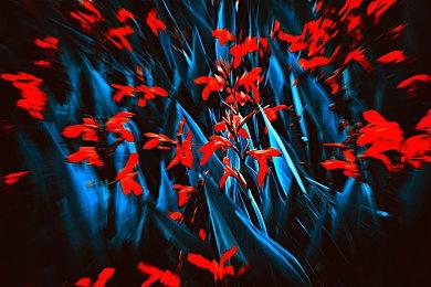 电影《铃芽之旅》上映17天  总票房破7亿